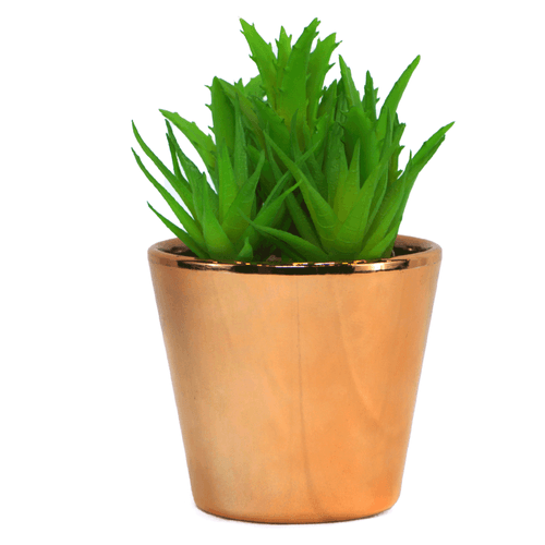 Planta artificial decorativa de 16 cm, modelo de plástico color marrón y verde