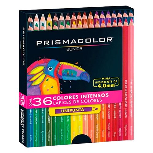Colores junior, marca Prismacolor, set de 36 lápices de colores pasteles y metálicos, mina de 4 mm